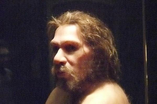 Neandertal DNA’sı Beynimizi Şekillendirmeyi Sürdürüyor