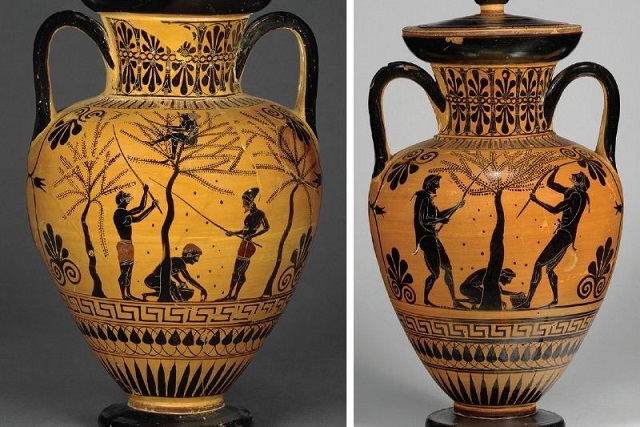 Zeytin İtalya’da En Az 6.000 Yıldır Yaşamın Vazgeçilmezi