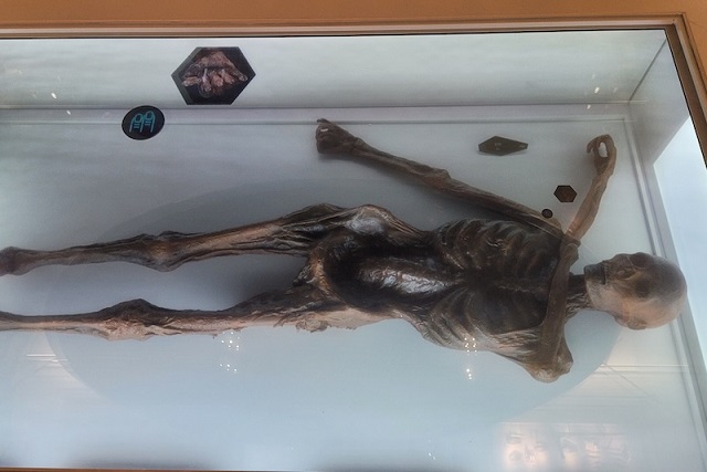 Buz Adam Ötzi, Yüksek Riskli Bir HPV Türü Taşıyordu