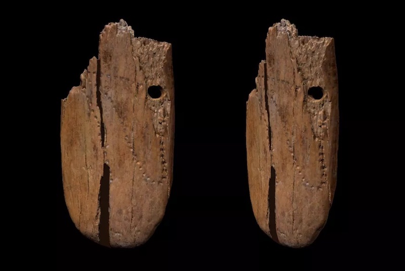41.500 Yıllık Fildişi Kolye, Avrasya’daki En Eski Takı Olabilir