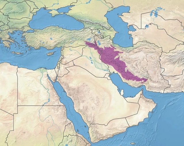 Homo Sapiens’in Afrika Dışındaki İlk Anayurdu Bulundu