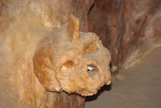 Yunanistan’daki 300.000 Yıllık Kafatası Hangi Türe Ait?