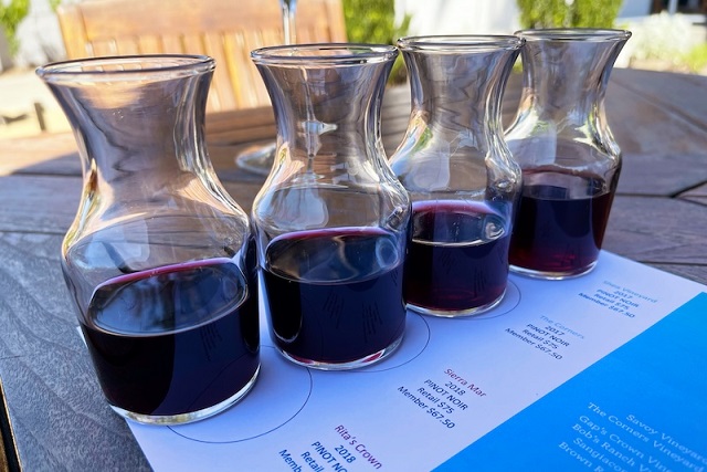 Fransa’daki Orta Çağ Tuvaletinde Pinot Noir Üzümü Bulundu