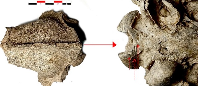 Bulgaristan’daki İnsanlar 2.500 Yıl Önce Köpek Yiyordu