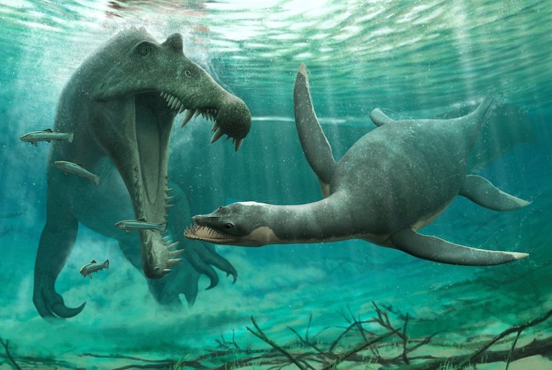 Plesiosaur’lar Sadece Tuzlu Suda Yaşamıyordu