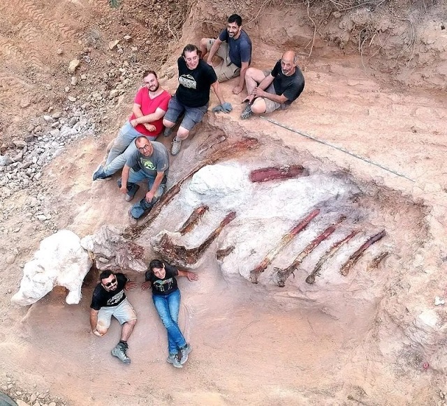 Avrupa’nın En Büyük Dinozor İskeleti Portekiz’de Bulundu