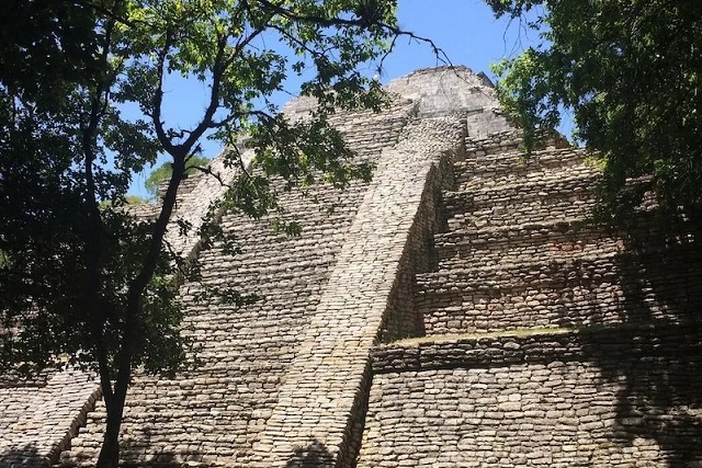Mayaların Köpek Ticareti Yaptığına Dair Kanıtlar Bulundu