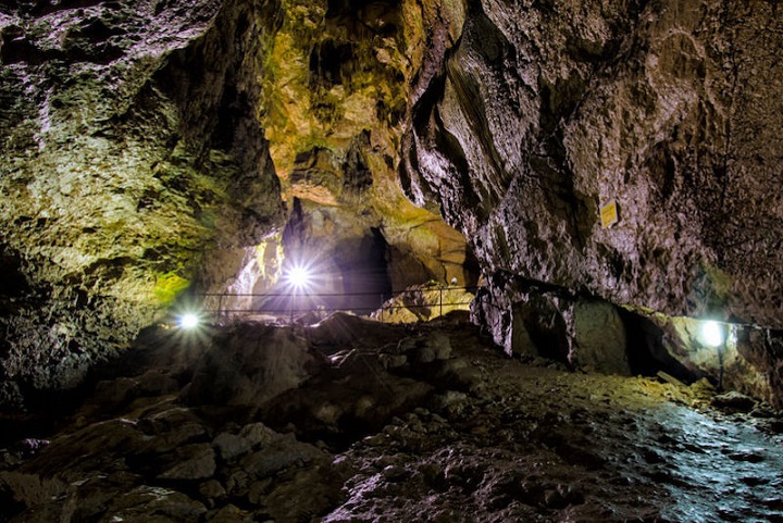 Radyokarbon 3.0 Tekniğiyle Hominin Etkileşimleri İnceleniyor