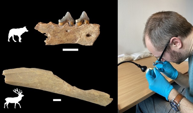 Neandertaller ile 45.000 Yıl Önce Kuzeyde Yan Yana Yaşadık