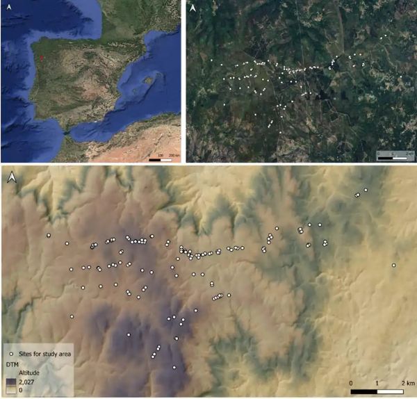 6.000 Yıllık Anıtlar, İspanya-Portekiz Sınırı Boyunca Gizli Desenleri Ortaya Çıkarıyor