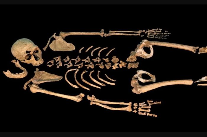 Bu Neandertal, 40.000 Yıl Önce Fransa’da Kasıtlı Gömülmüş