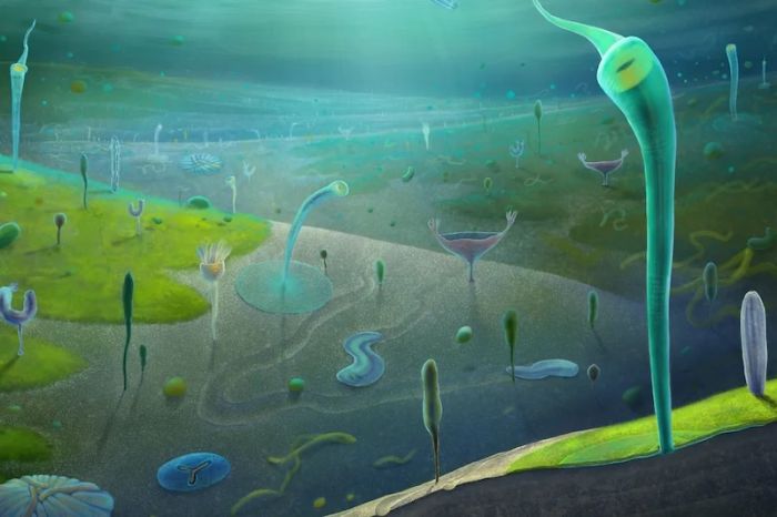 Karmaşık Canlıların Evrimine Dair Çok Erken Kanıtlar Bulundu