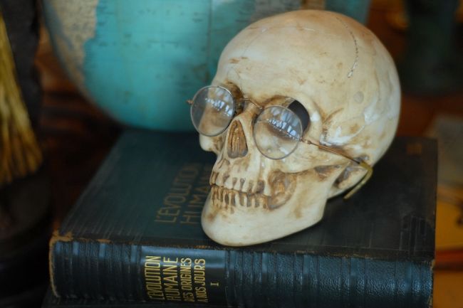 İnsan Olmak Ne Demek ve Buna Nasıl Karar Verdik?