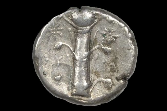 İnsanlar Doğum Kontrolü ve Afrodizyak için Bu Bitkiye Takıntılıydı