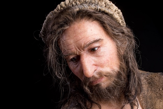 Modern İnsan, Neandertalden Daha Uzun Yaşamaya Uygun