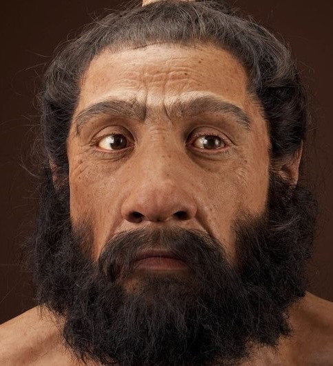 Modern İnsan, Neandertaller ile Yakındoğu’da Çiftleşti