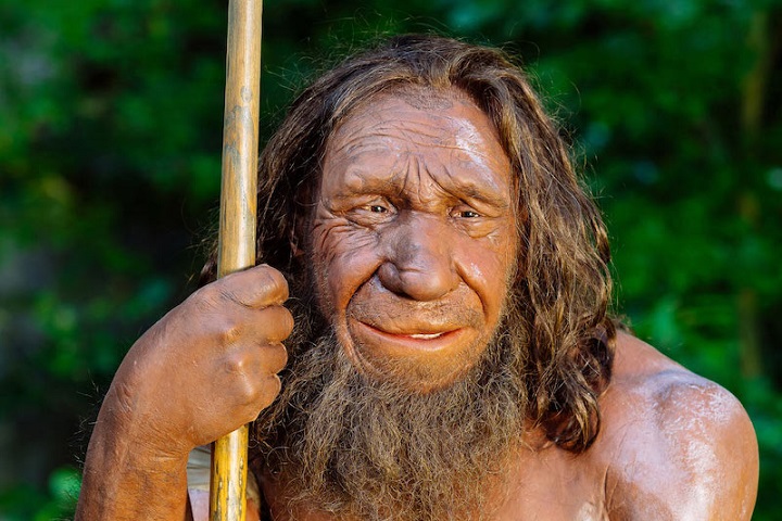 Bazılarımızın Sabah İnsanı Olmasının Nedeni Neandertaller Olabilir