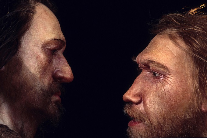 Neandertaller Modern İnsanlardan 408.000 Yıl Önce Ayrılmış