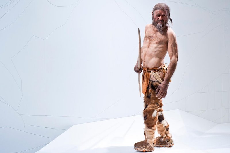  Buz Adam Ötzi’nin Dövmeleri Bize Ne Anlatıyor?
