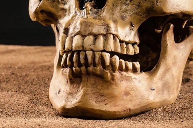 Diş Macunundan Önce İnsanlar Dişlerini Nasıl Temizliyordu?