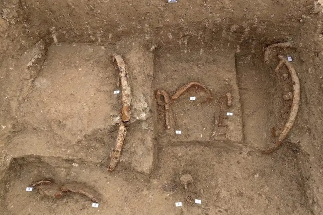 İtalya’da Savaş Arabasıyla Gömülmüş ‘Prens’ Mezarı Bulundu