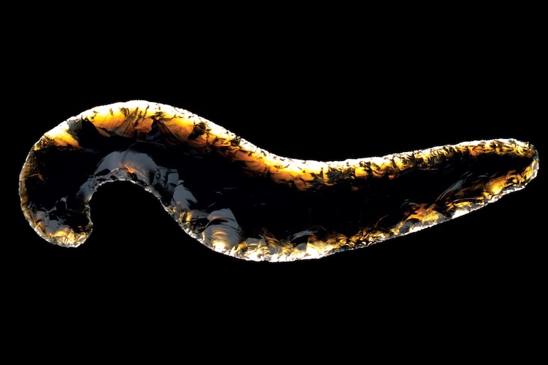 Aztek Tapınağındaki Obsidyenler Düşman Topraklarından Gelmiş