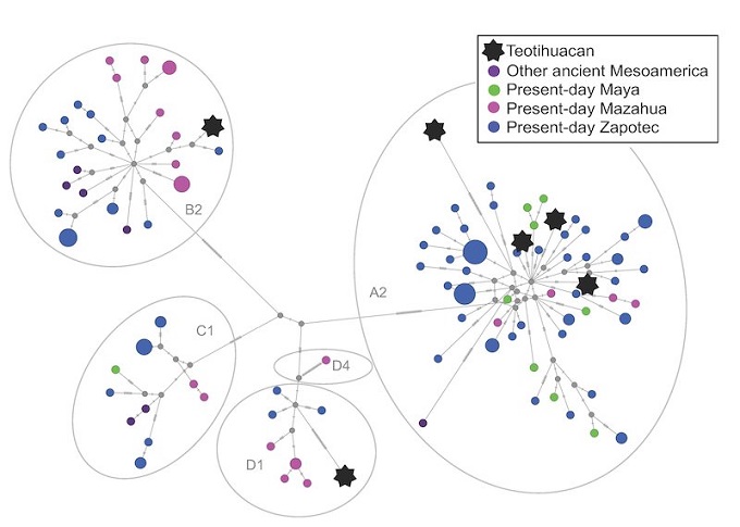 Teotihuacan Sakinlerinin Genetik Bilgileri Okunuyor