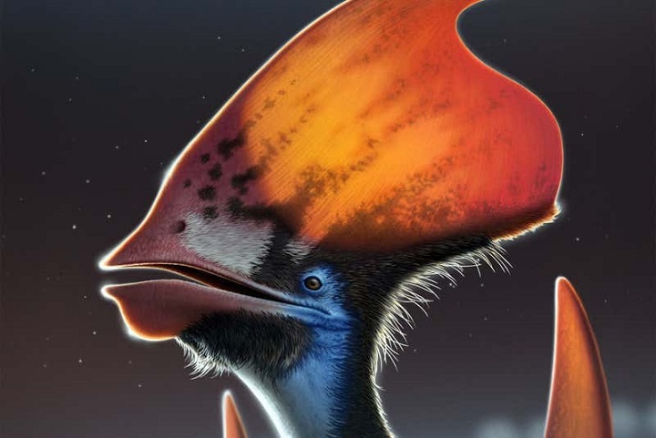 Teruzor Fosili, Tüylerin Uçuştan Önce Evrimleştiğini Gösteriyor