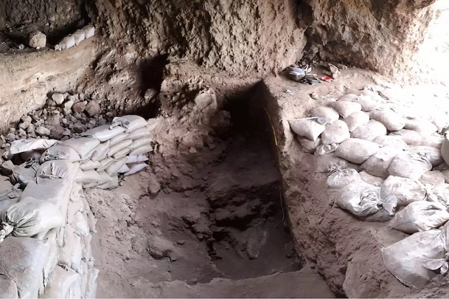 Özbekistan’da Arpa Hasadına Dair 9.200 Yıllık Bulgular!