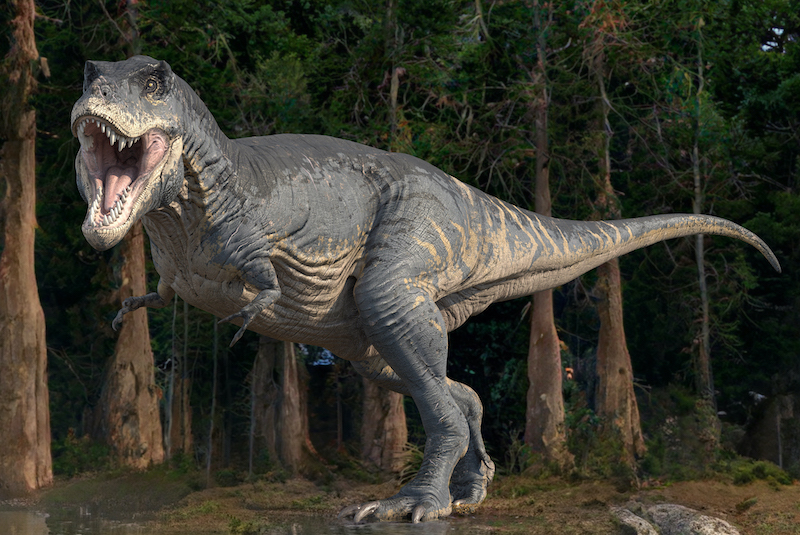 T. rex’in Kolları Neden Bu Kadar Küçüktü?