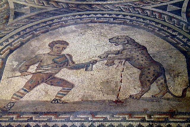 Eyalet Amfitiyatrosunda İlk Kez Leopar Kemikleri Bulundu