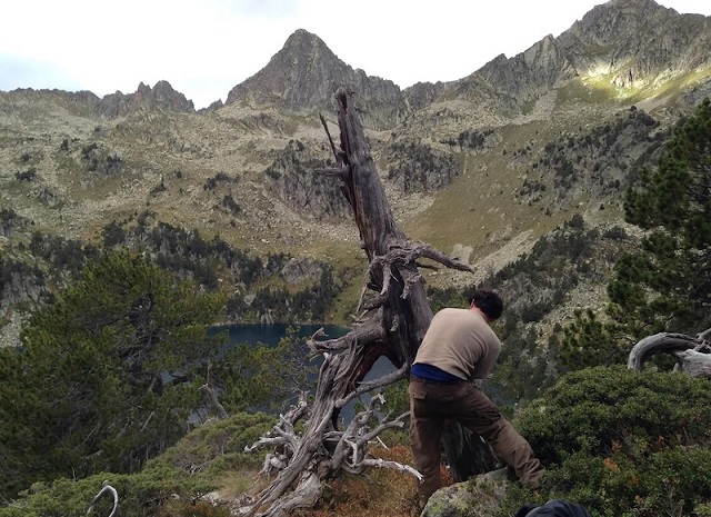 Gizemli Bir Yanardağ, 14. Yüzyılda Kara Ölüm’ü Nasıl Tetikledi?