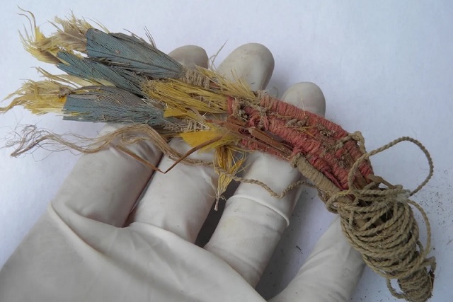 Ölüleri Süsleyen Tüyler 500 Kilometre Uzaktan Geliyordu